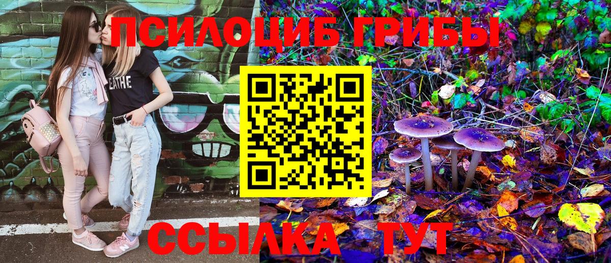 Галлюциногенные грибы Magic Shrooms  Вход с VPN  даркнет сайт  Находка  Галлюциногенные грибы Psilocybe 